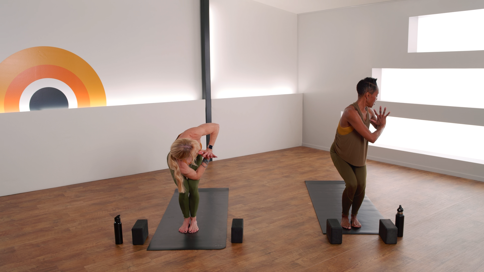 C2 Crow to Chaturanga Transitions with Melinda H