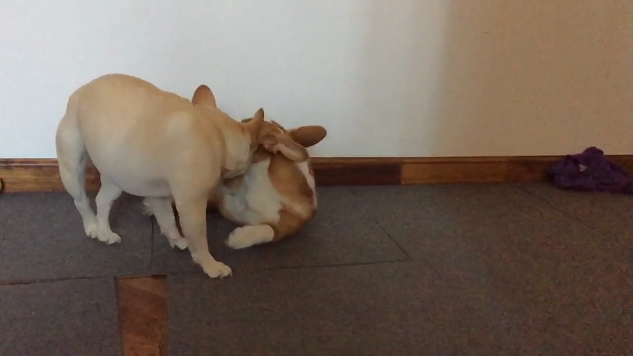 Slow Motion Battle To The Death.. or To The Tired