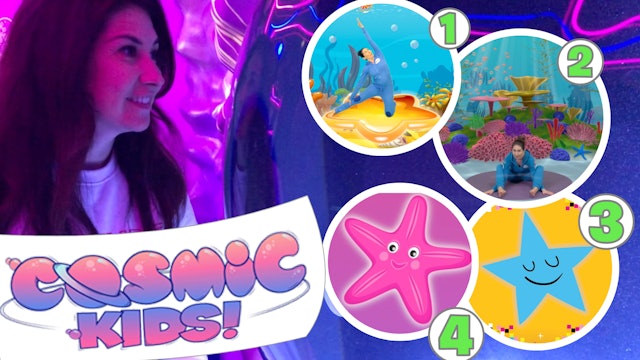 Jaime's Yoga Mix | At Sealife