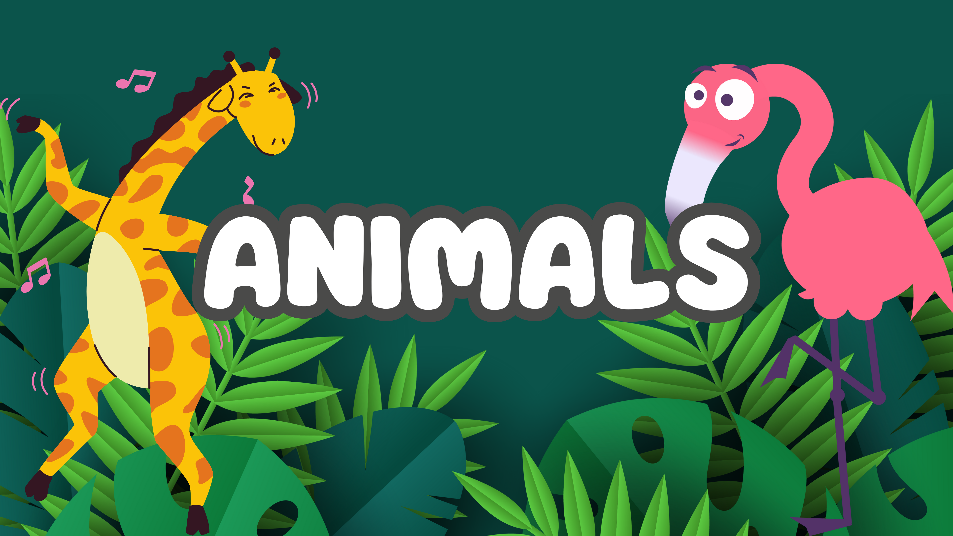 Animals