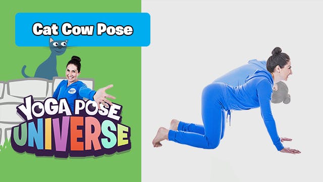 Cat Cow Pose | Yoga Pose Universe!