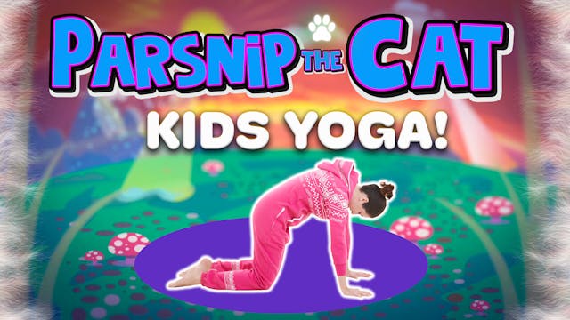 Parsnip the Cat | Yoga Adventure!