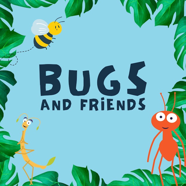 Bugs, Insects, Butterflies & Friends