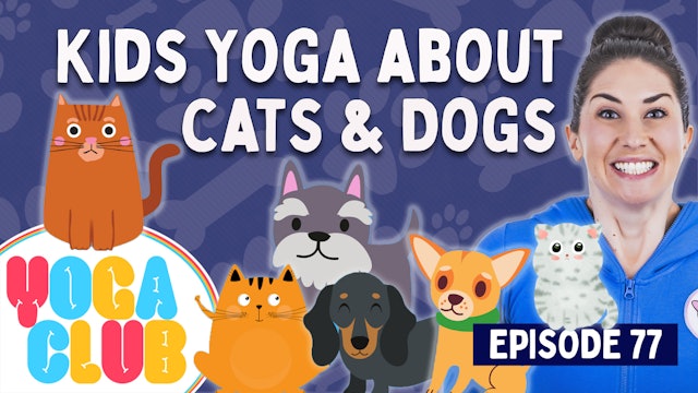 Yoga Club About Cats & Dogs (Week 77)  🐾 I  Cosmic Kids Yoga