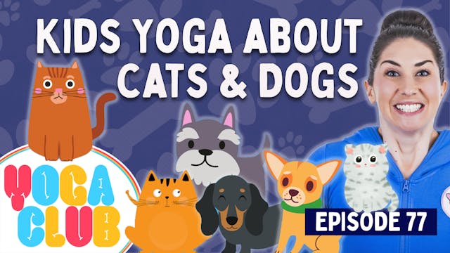 Yoga Club About Cats & Dogs - YOGA CLUB!