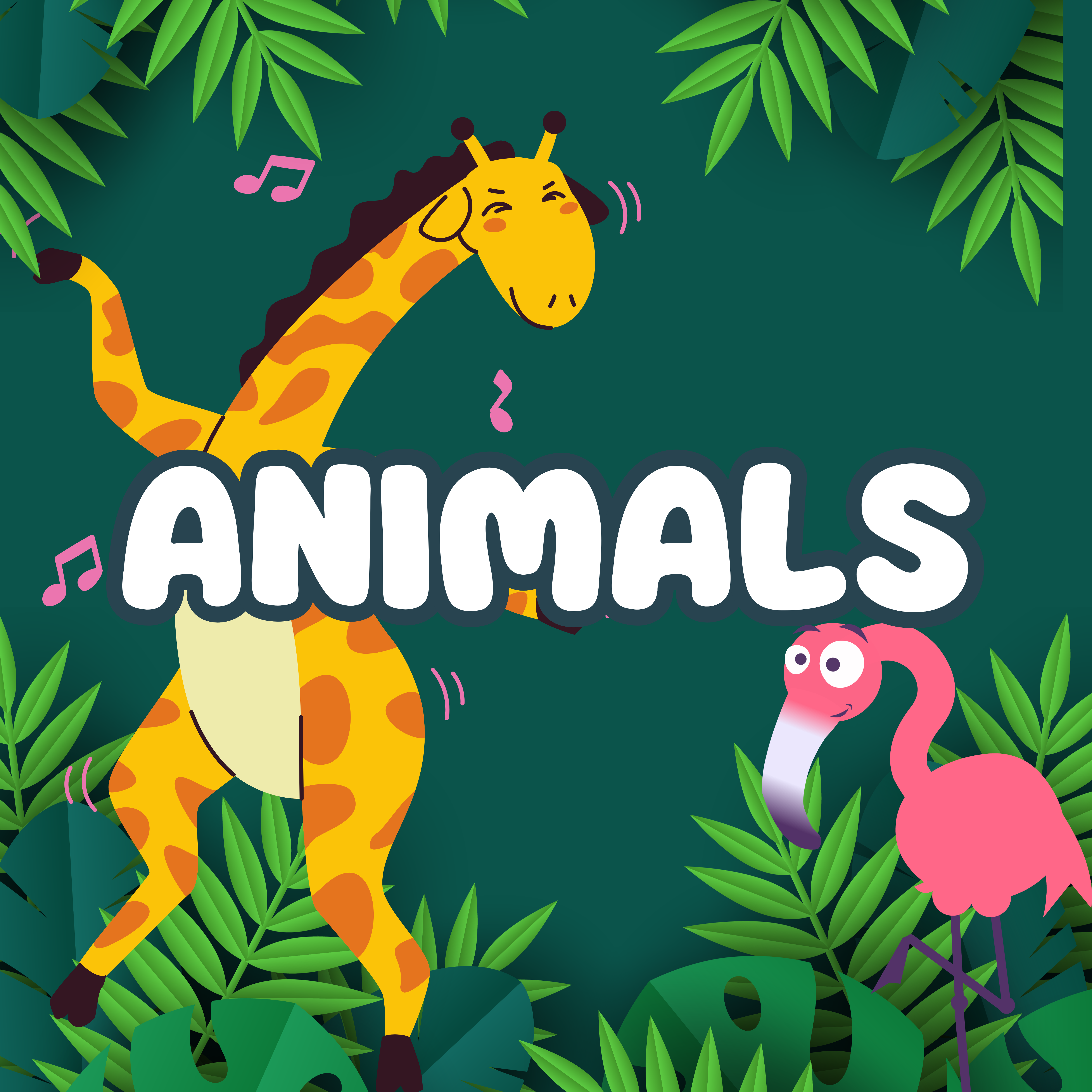 Animals