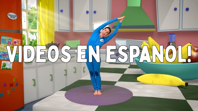 VIDEOS EN ESPAÑOL / Videos in Spanish