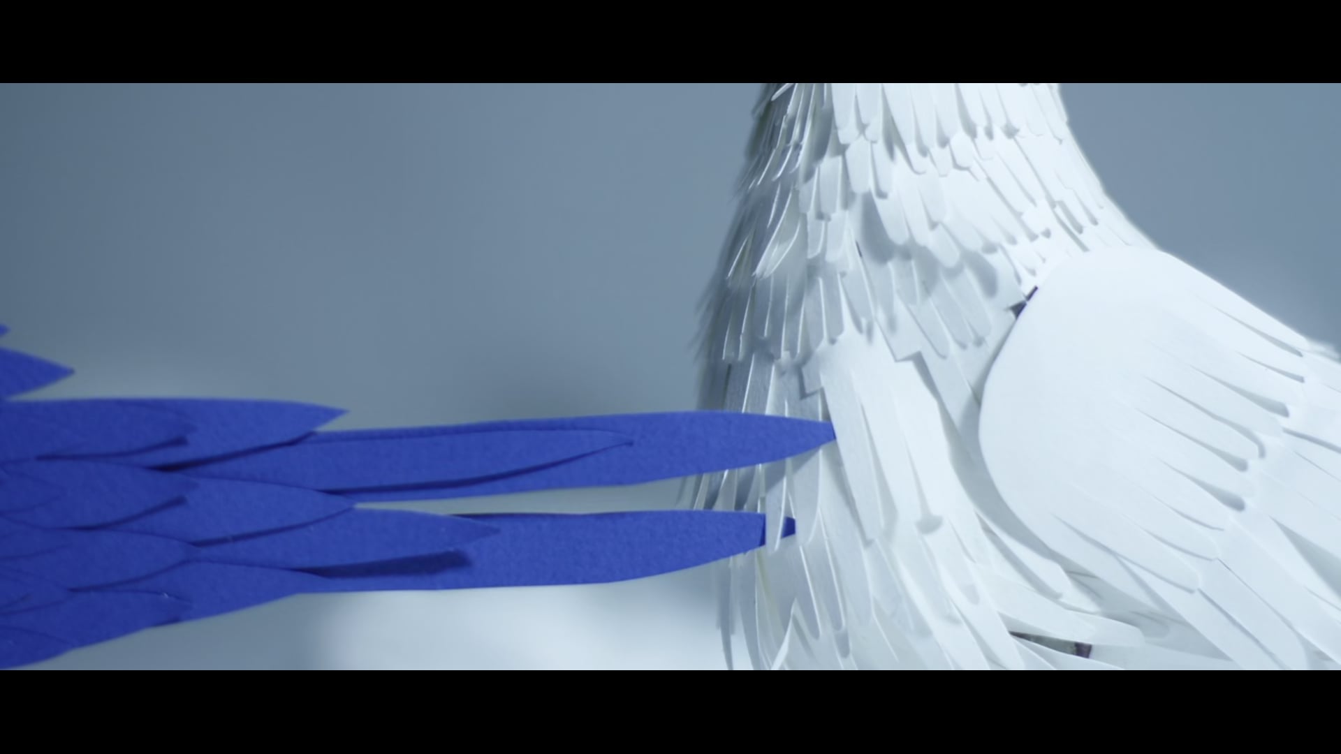 Oh Crow! Oh Crow! Trailer