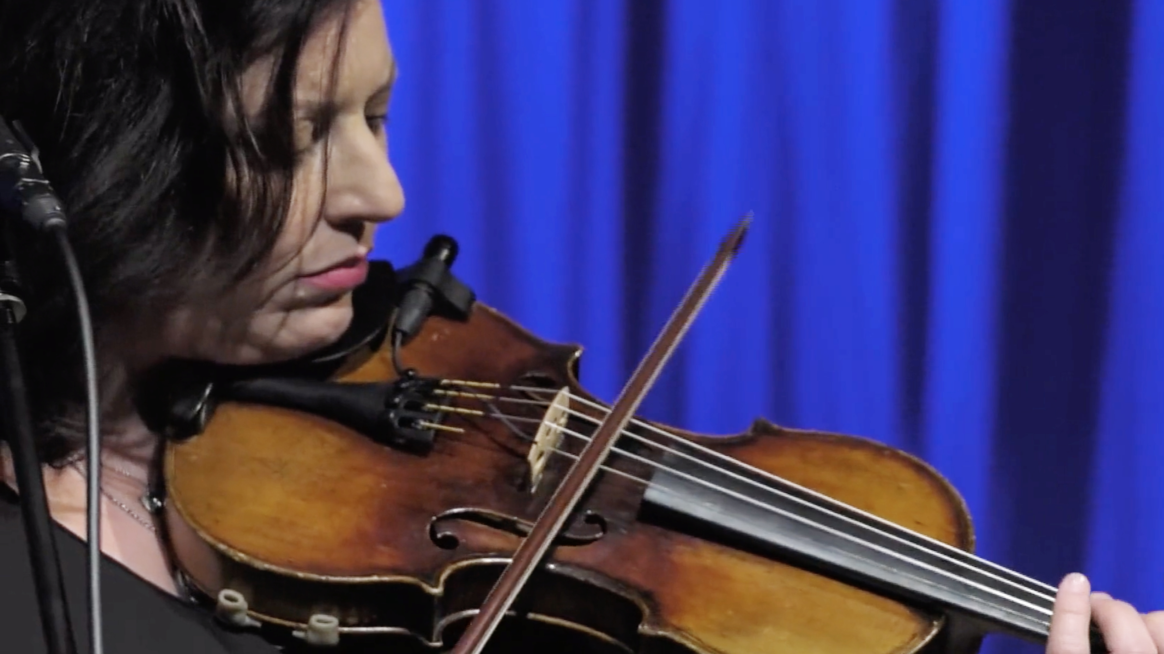 Andrea Zonn • Nashville Cats, 2017