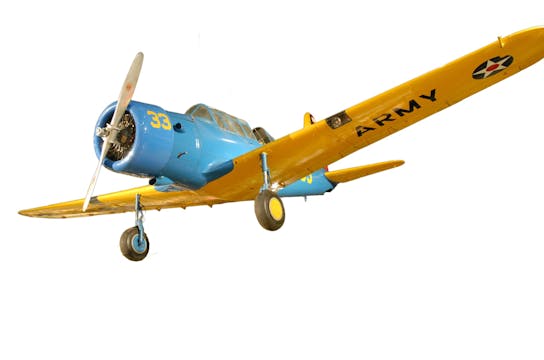 Crosswinds: The Courageous Life of Cornelia Fort