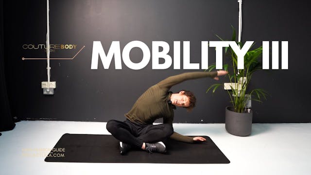 Mobility III