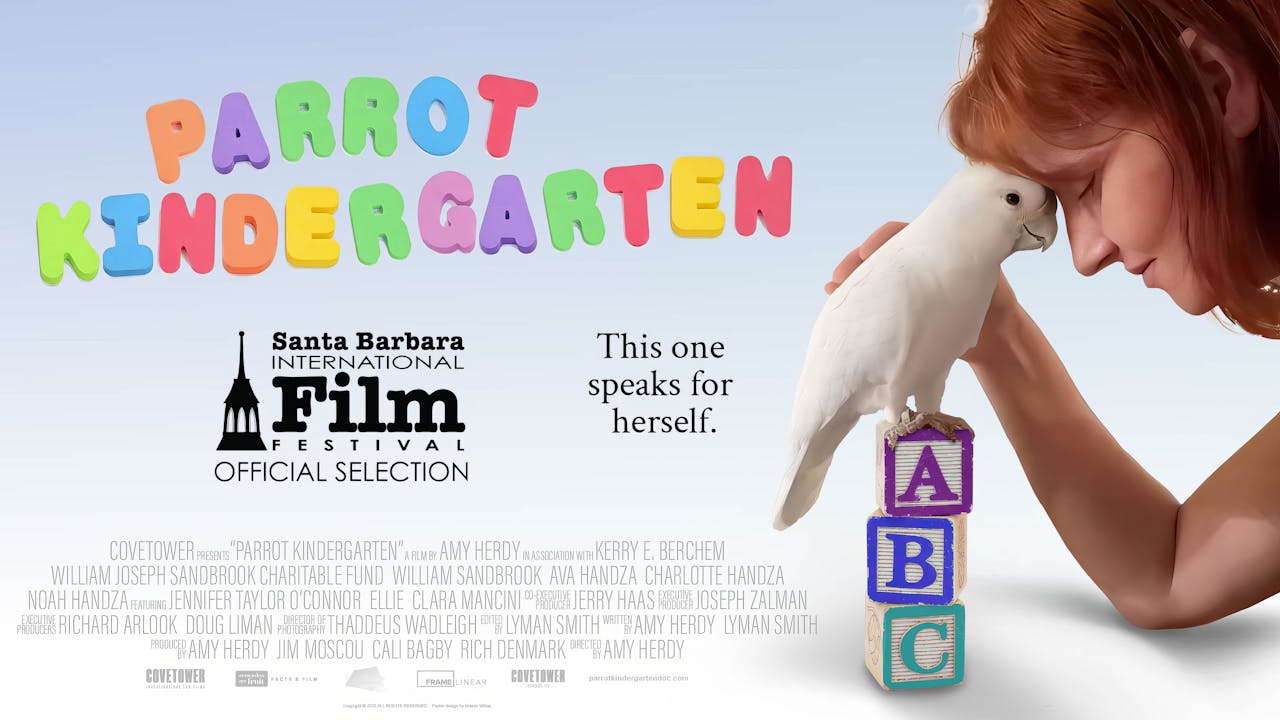Parrot Kindergarten