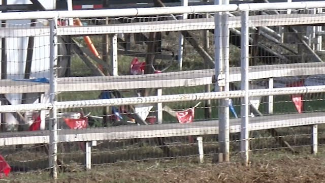 Whitesboro 070320 Calf Roping