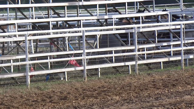 Witesboro 070320 Bare Back Bronc