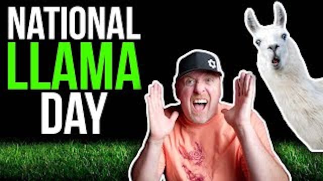 It's NATIONAL LLAMA DAY!!