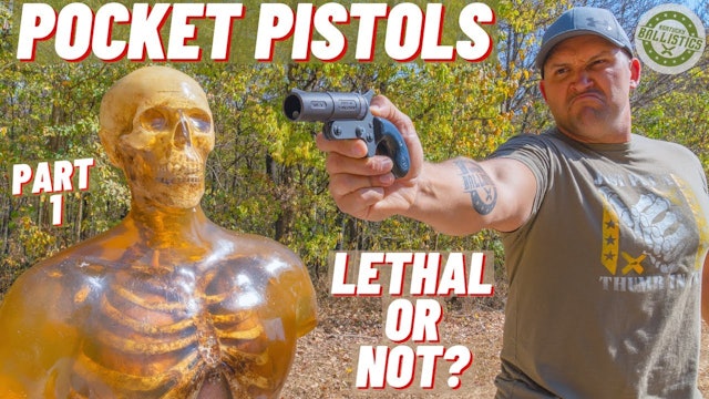 How Lethal Are Pocket Pistols ??? (Part 2)