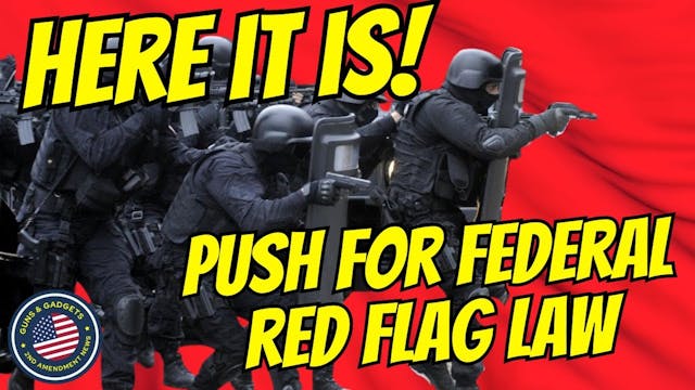 HERE IT IS! The Push For A Federal Re...