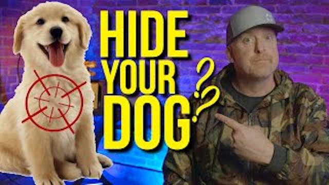 HIDE YOUR DOG - The AFT is EXPANDING??