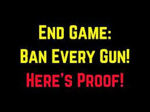 END GAME Ban All Guns Heres Proof