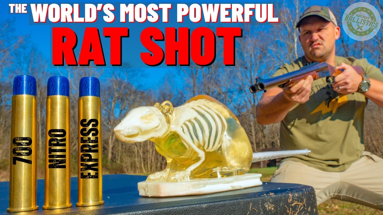 The World’s Most POWERFUL Rat Shot  (700 Nitro Express Rat Shot)