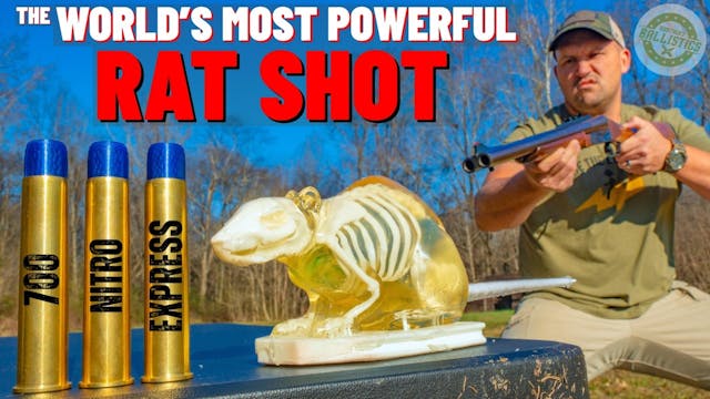 The World’s Most POWERFUL Rat Shot  (...