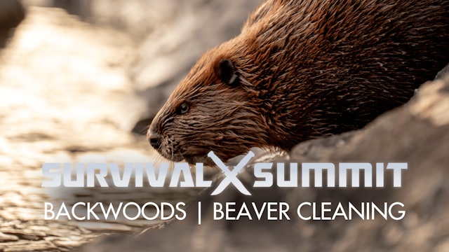 Food - Beaver Cleaning