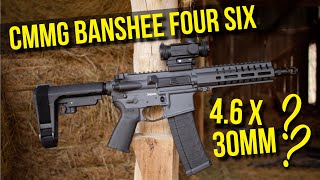 [REVIEW] The WHAT?? CMMG BASHEE  FourSix 4.6 x 30MM
