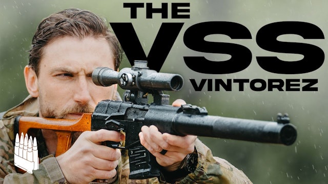 Russia's Quietest "Sniper"? The VSS Vintorez