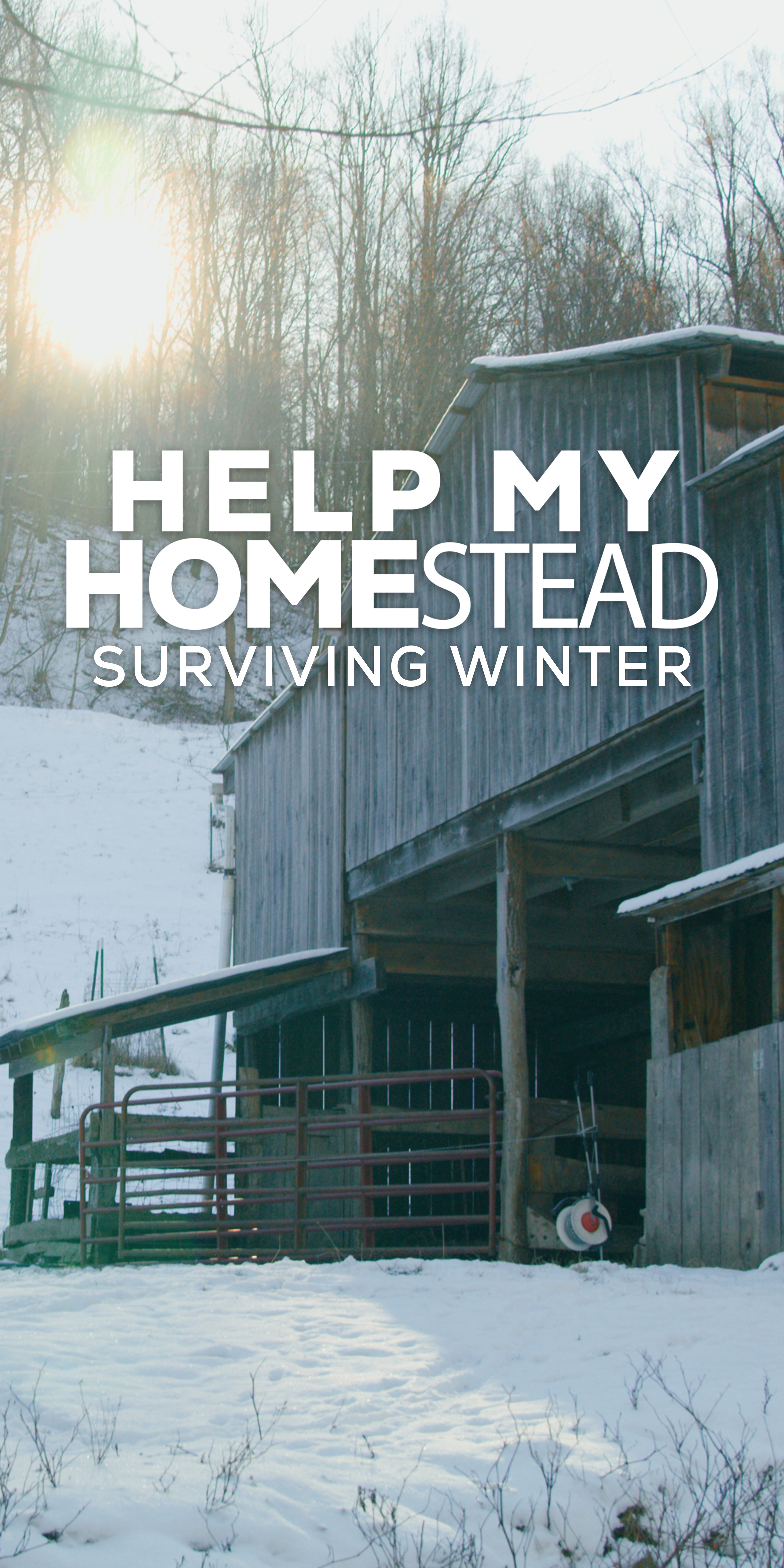 Help My Homestead