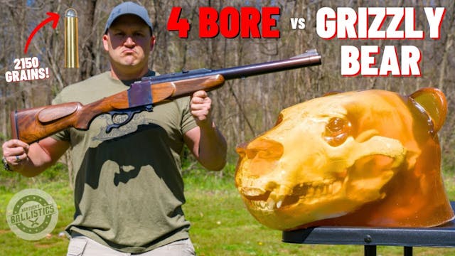 4 BORE Rifle vs Grizzly Bear 🐻 (The B...