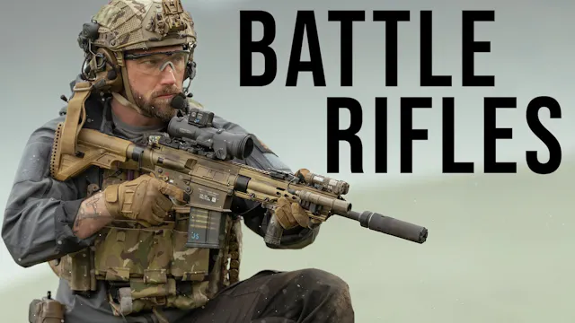 As a Civilian Are Battle Rifles Worth...