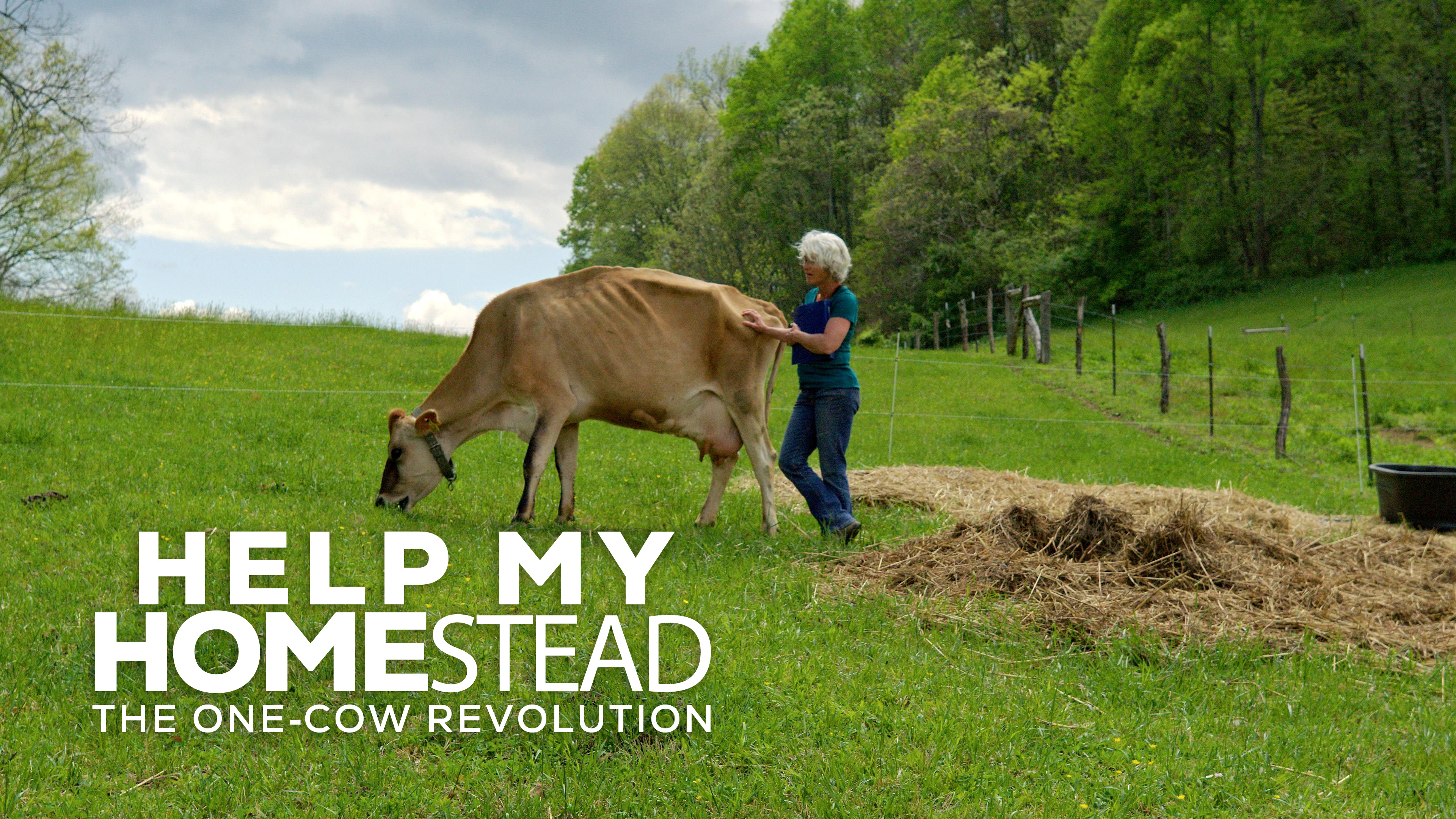 The One-Cow Revolution