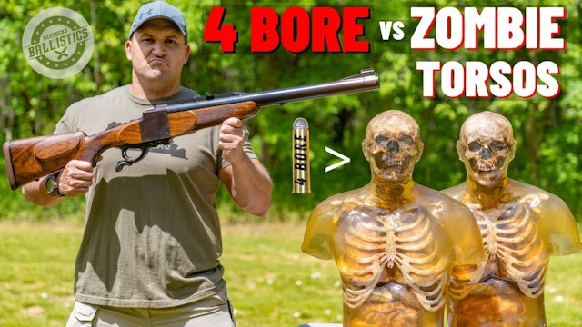 4 BORE Rifle vs Zombie Torsos (The Biggest Rifle Ever !!!)