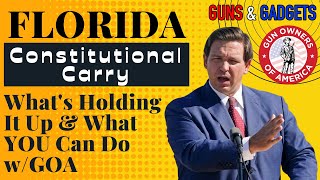 Florida Constitutional Carry! Will It Happen? What's Holding It Up?