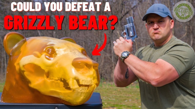 Could You Defeat A GRIZZLY BEAR ???