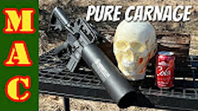Human Head vs. Can Cannon - and Less Lethal 12ga loads!