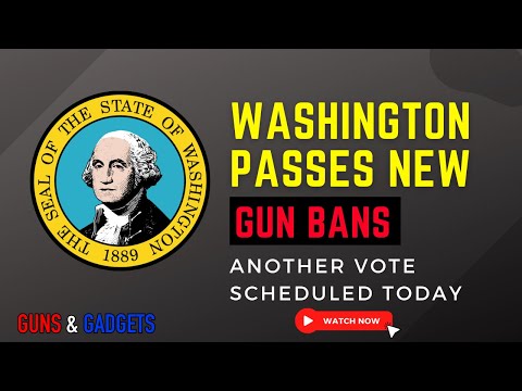 Washington Passes Gun Bans