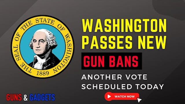 Washington Passes Gun Bans