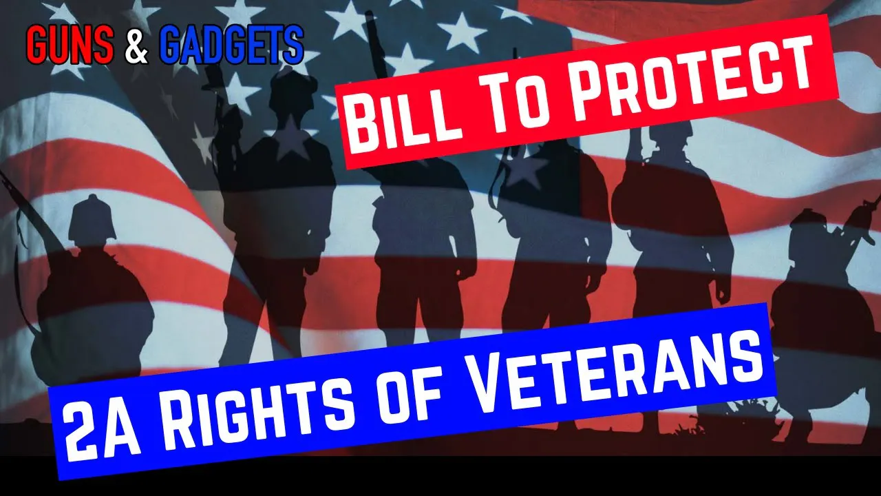 Veterans 2nd Amendment Protection Act - Guns & Gadgets - 2nd Amendment ...