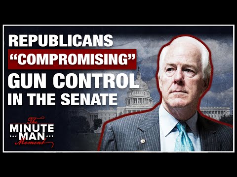 Upcoming Gun Control Is WORSE Than Just Red Flag Laws