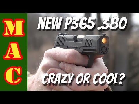 New Sig 380 P365 - A novelty or serious defensive tool?