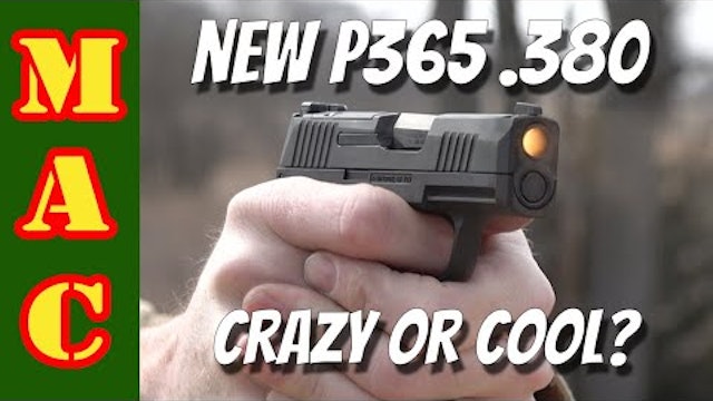 New Sig 380 P365 - A novelty or serious defensive tool?