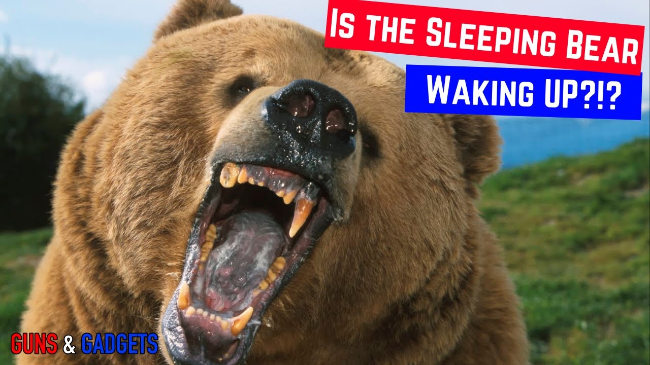 Is The Sleeping Bear Waking Up