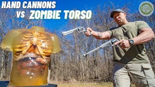 HAND CANNONS vs ZOMBIE TORSO 🧟♂️