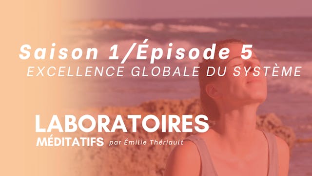 EXCELLENCE GLOBALE DU SYSTÈME - Saiso...