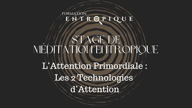 2// L'Attention Primordiale : Les 2 T...