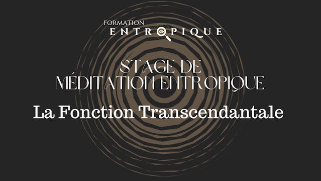 3 // La Fonction Transcendantale