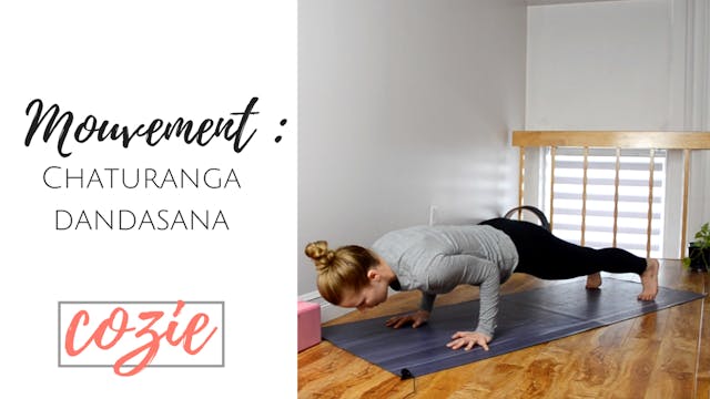 Mouvement - Chaturanga Dandasana