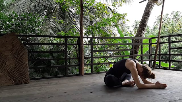 Posture du papillon