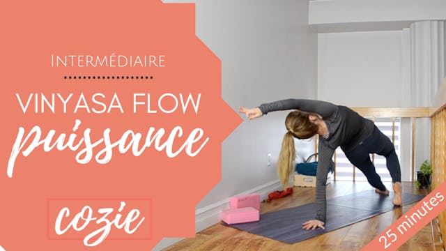 Vinyasa Flow - Puissance [VO]